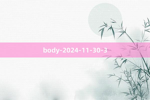 body-2024-11-30-3