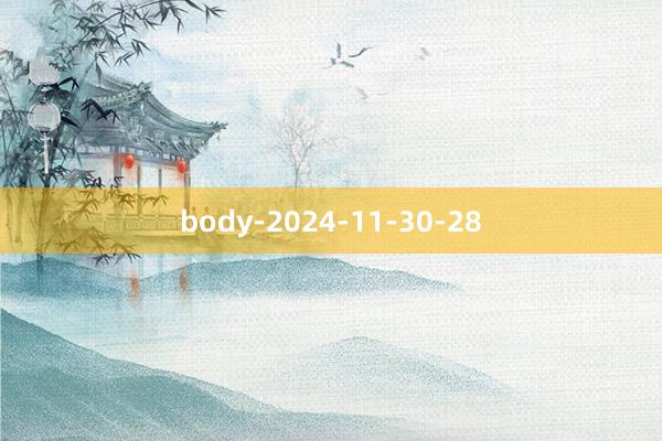 body-2024-11-30-28