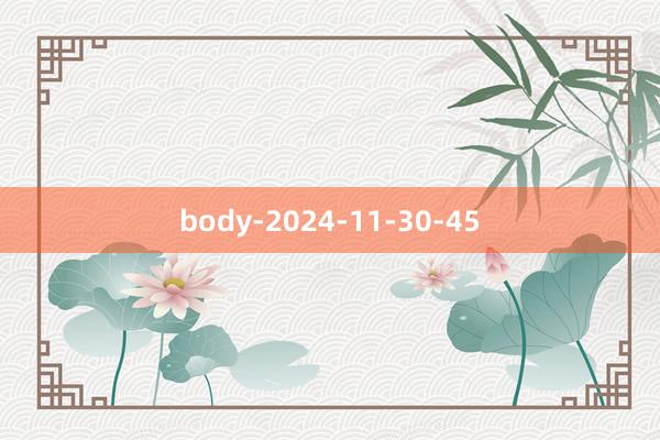 body-2024-11-30-45