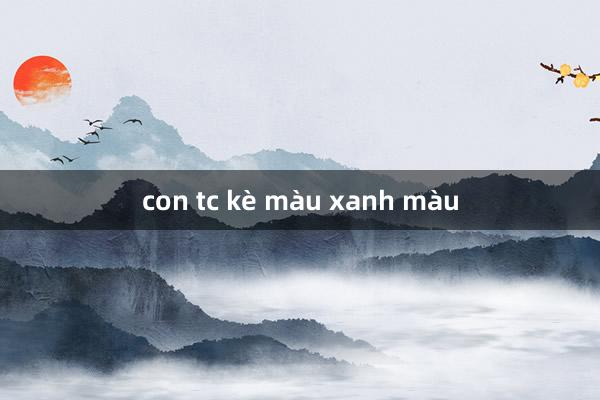 con tc kè màu xanh màu