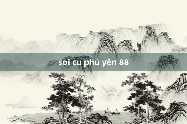 soi cu phú yên 88