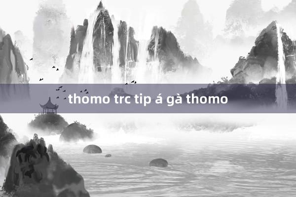 thomo trc tip á gà thomo