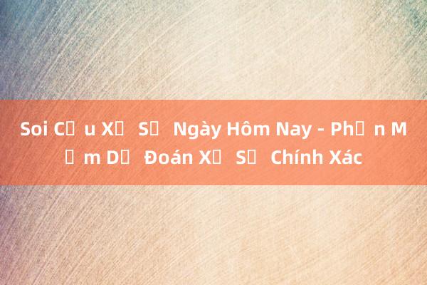 Soi Cầu Xổ Số Ngày Hôm Nay - Phần Mềm Dự Đoán Xổ Số Chính Xác