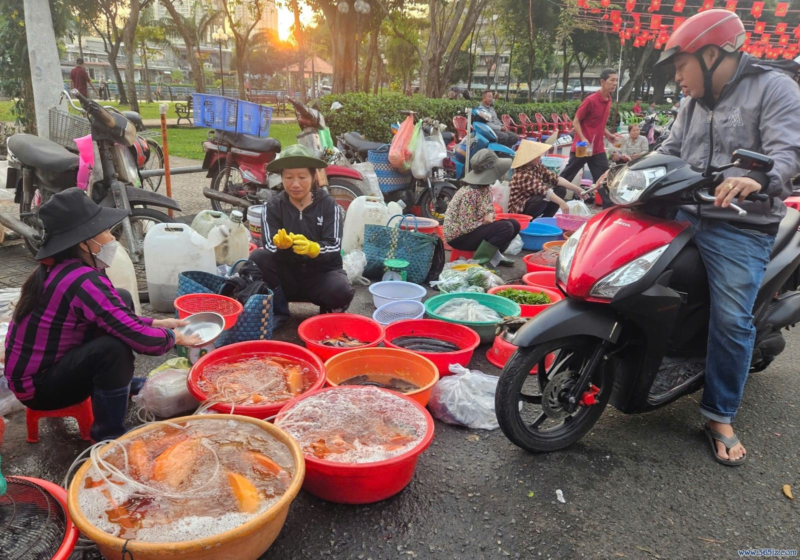 Chú thích ảnh